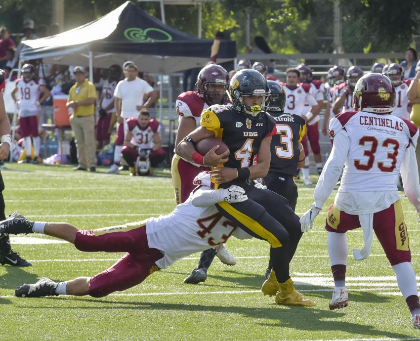 Disputarán leones negros final en futbol americano