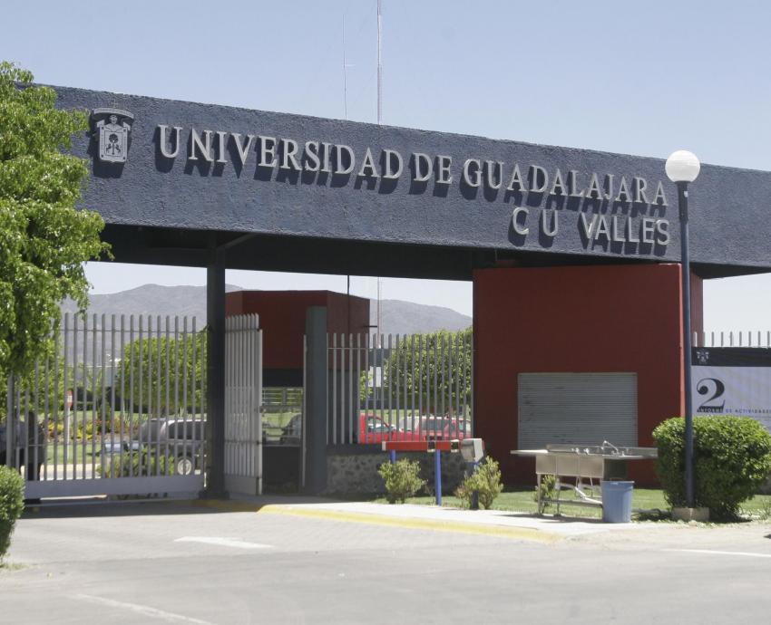  Escasa preparación en primeros auxilios psicológicos entre personal de salud y educativo en América Latina