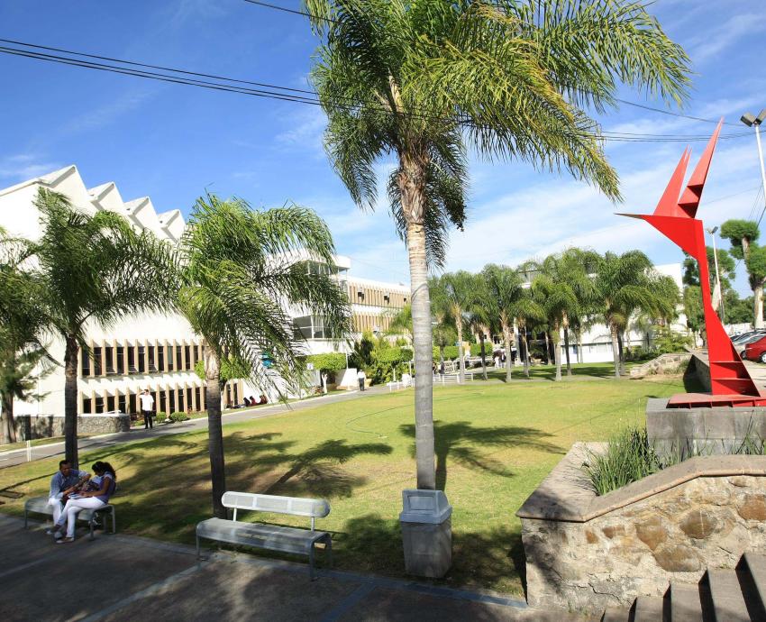 Ofrece UdeG posgrado en actividad física con reconocimiento de calidad
