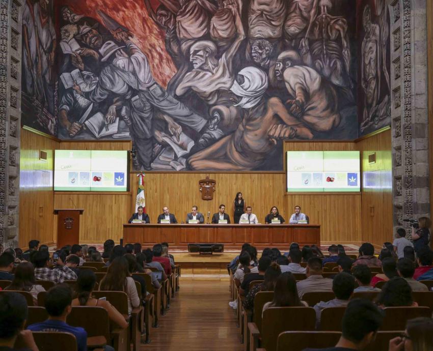 Uso medicinal e industrial de la mariguana: oportunidad de negocio internacional para México, señalan expertos