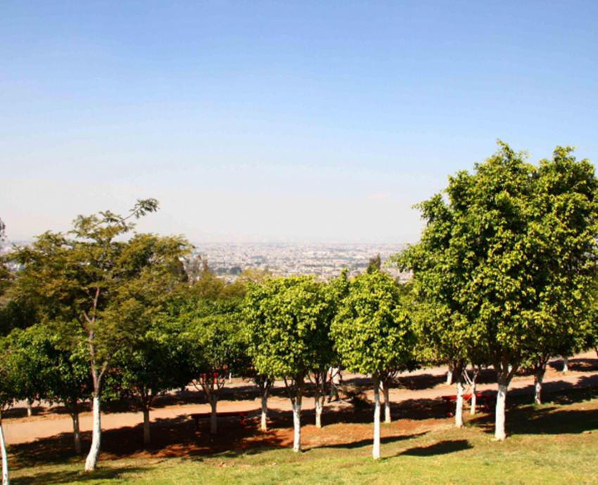 Peligran paisajes naturales de Tonalá por urbanización