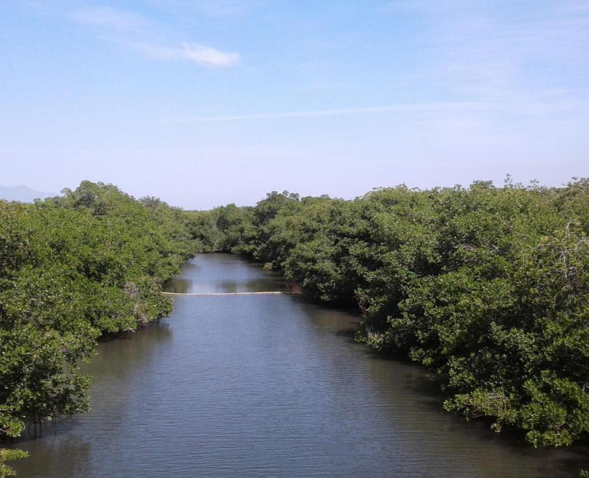 Buscan preservación del estero El Salado con registro de su paisaje sonoro