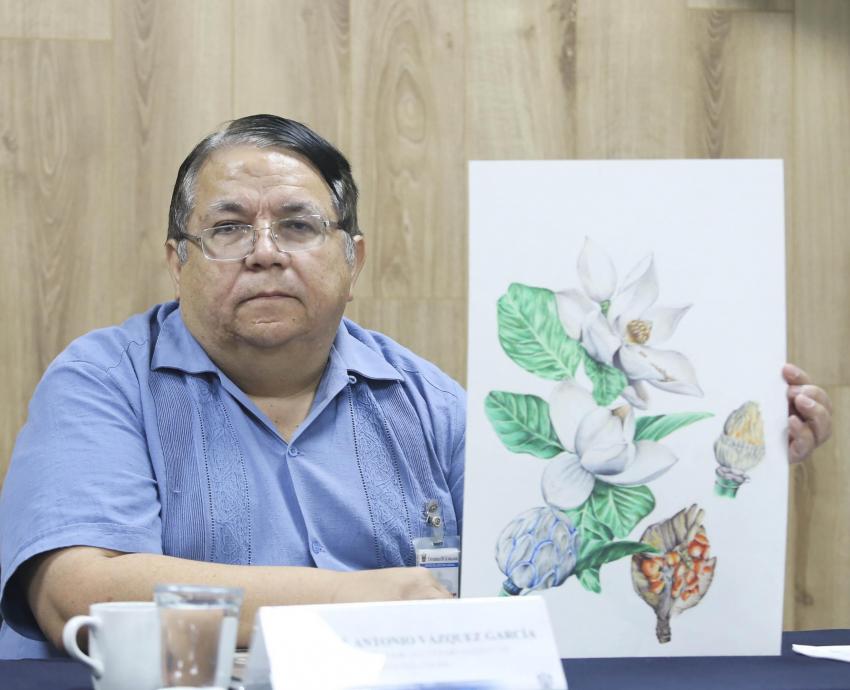 UdeG albergará encuentro mundial para discutir preservación de magnolias, especie en peligro de extinción