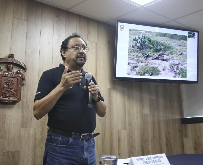 Protegerá UdeG 9 mil 420 nidos de tortuga marina en playas de Jalisco