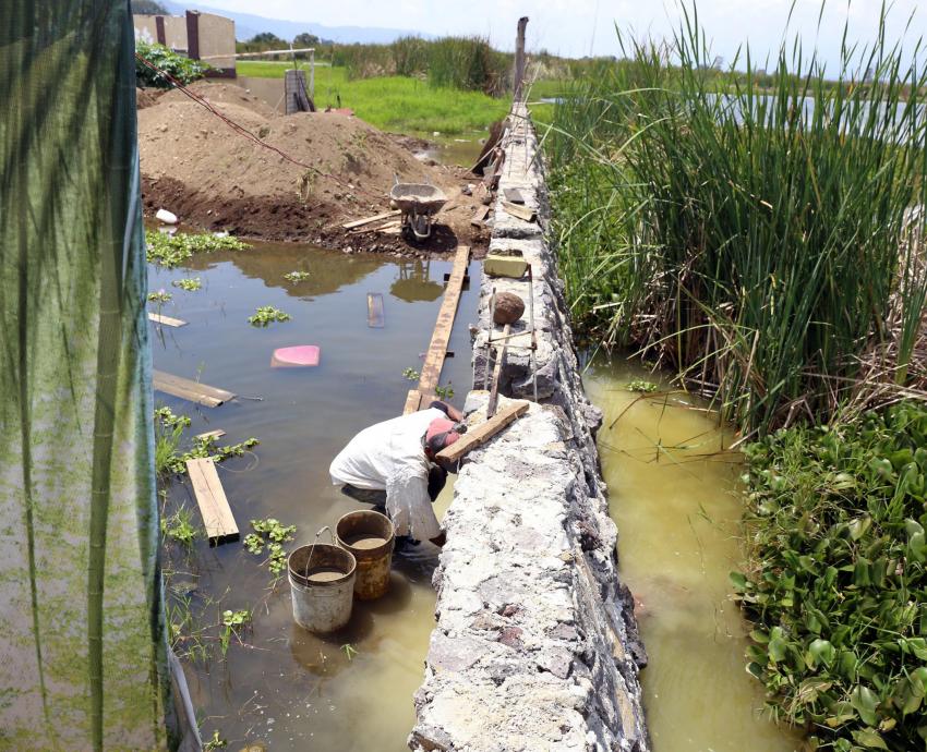 Contaminación y cambio de usos de suelo amenazan a Lago de Zapotlán