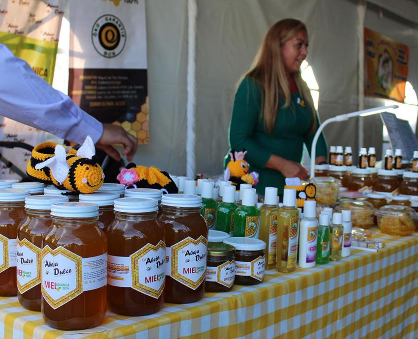 Coorganiza CUSur la V Feria Jalisciense de la Miel