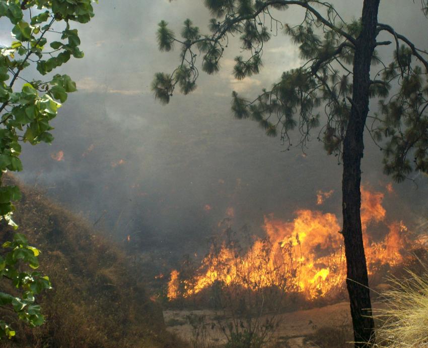 Brigada contra incendios del CUCBA suspende labores preventivas por Covid-19