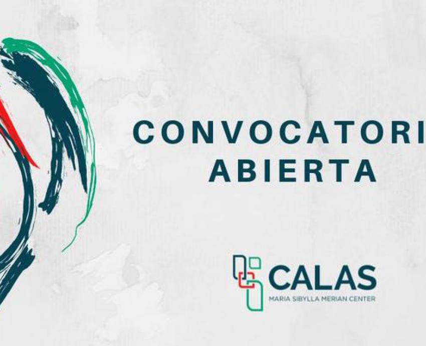 Abre CALAS convocatoria para que investigadores estudien el impacto del Covid-19 en Latinoamérica