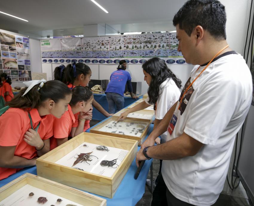 Continúan los preparativos de la edición 2020 del Festival Papirolas