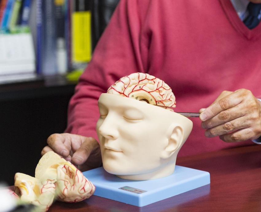 Preparan centros universitarios regionales actividades por la Semana del Cerebro 2022