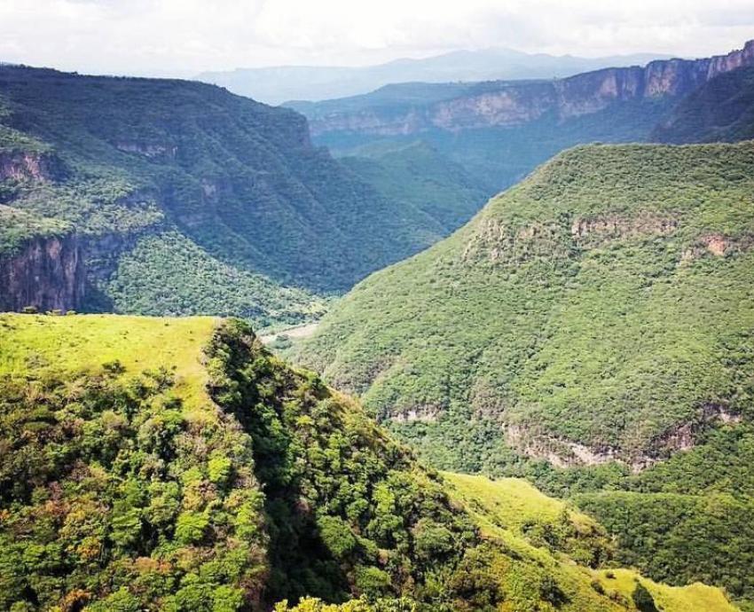 CUAAD invita a su primera Bienal de Pintura Barranca de Huentitán