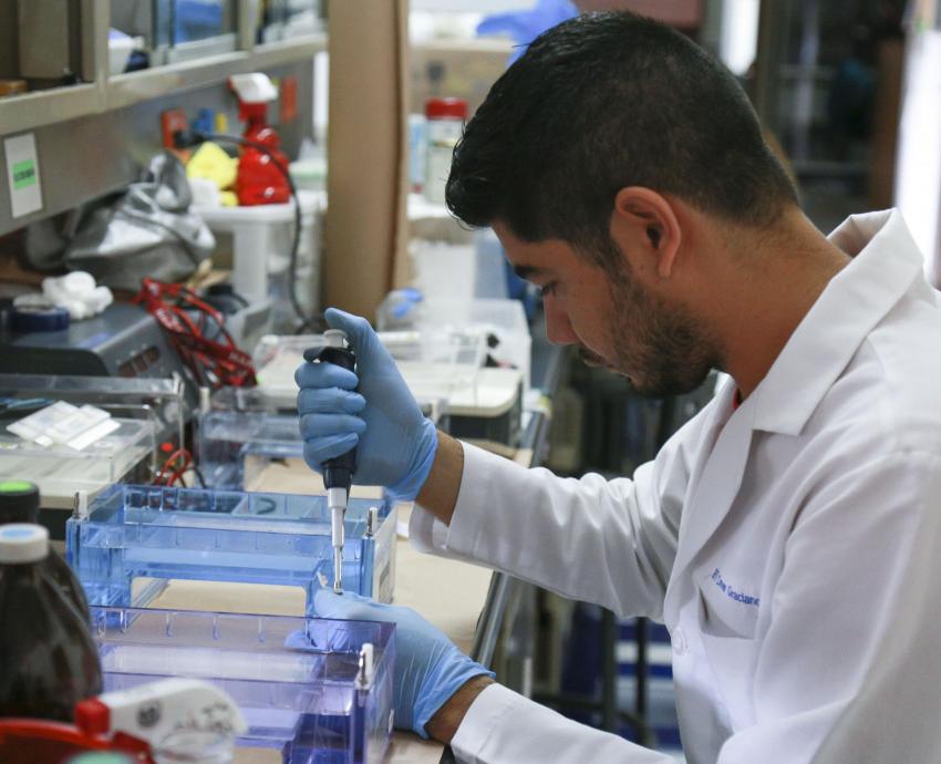 Fortalece UdeG la investigación temprana por medio del programa Delfín