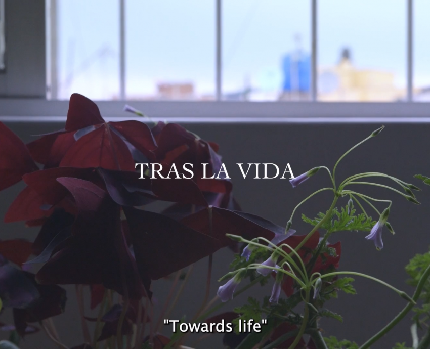 resentan “Tras la vida”, documental sobre la lucha por encontrar a migrantes desaparecidos en México
