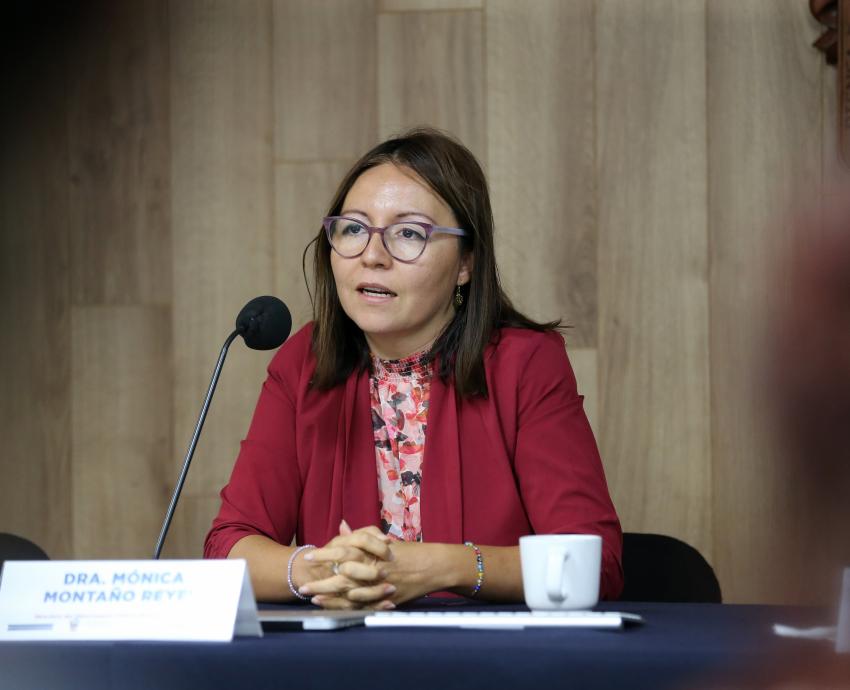 Encabeza Puerto Vallarta más casos sentenciados de violencia política contra mujeres