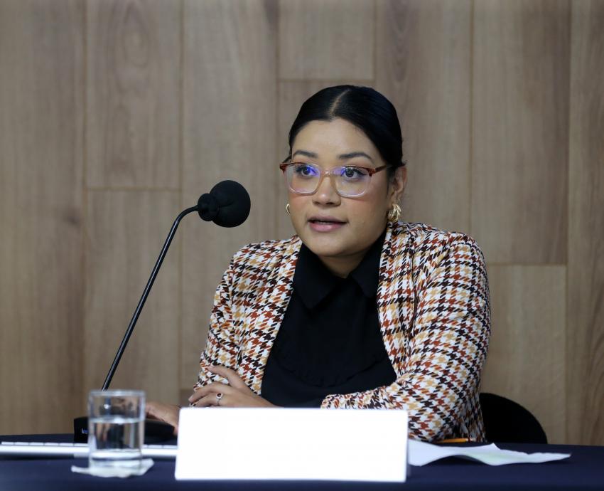 Encabeza Puerto Vallarta más casos sentenciados de violencia política contra mujeres