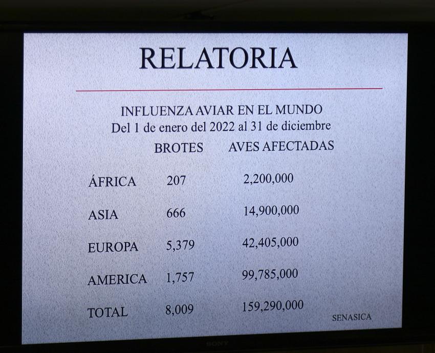 Jalisco está fortalecido frente a la gripe aviar