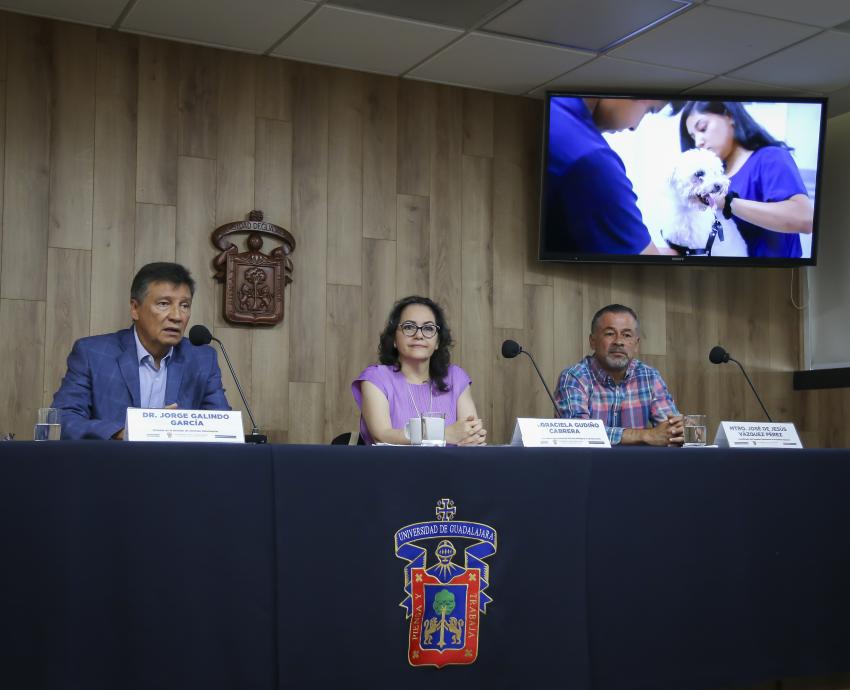 Atiende Hospital de Pequeñas Especies del CUCBA a hasta 40 pacientes al día