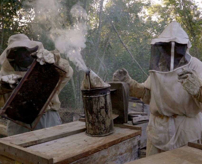 Egresado del CUAAD presenta muestra “Tour Transvolcánico HuertoCinema Móvil Colima-Jalisco”, de cine socioambiental