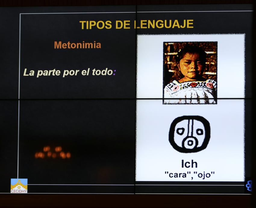 Fidencio Briseño Chel y la cosmopercepción de la lengua maya