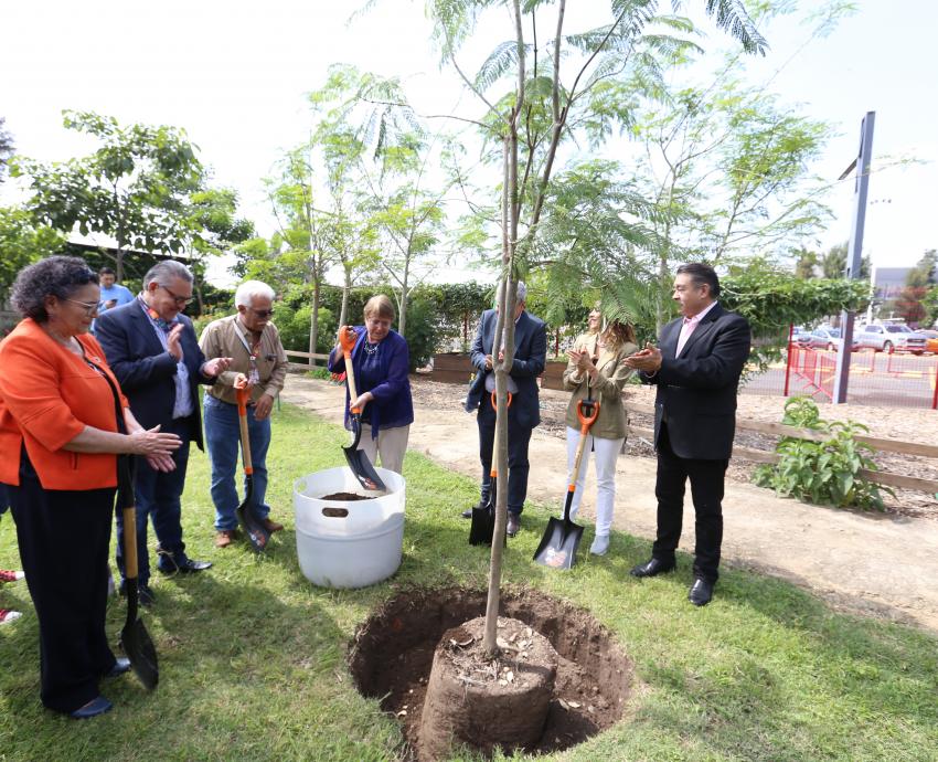 Recorre Michelle Bachelet instalaciones del Museo de Ciencias Ambientales 