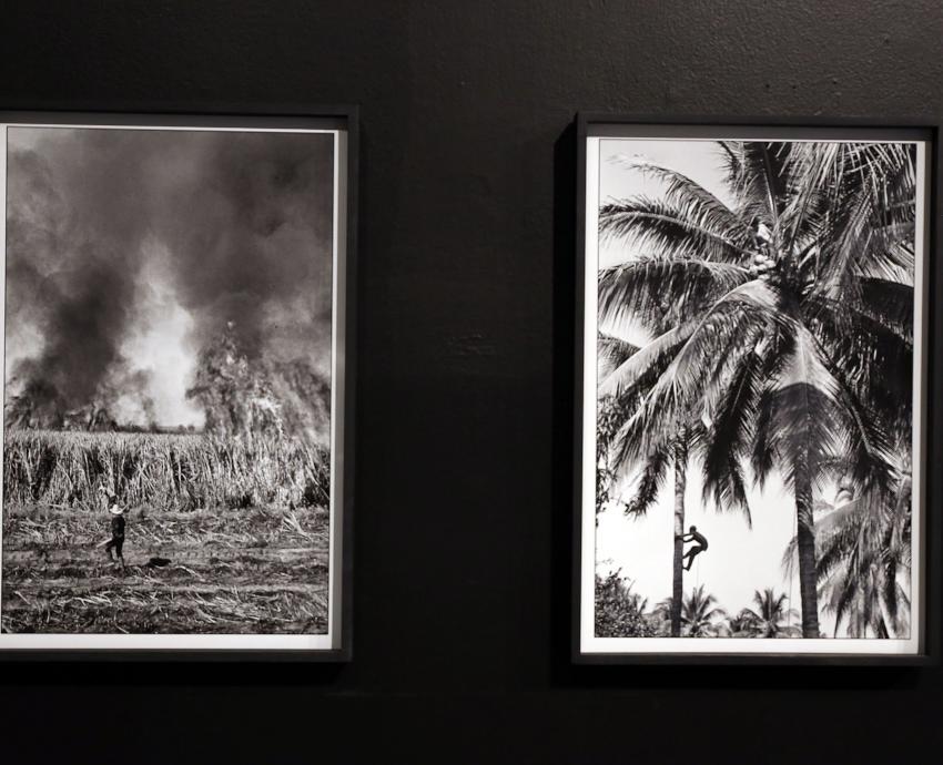 Inauguran “En retrospectiva”, obra fotográfica de maestros de la Escuela de Artes