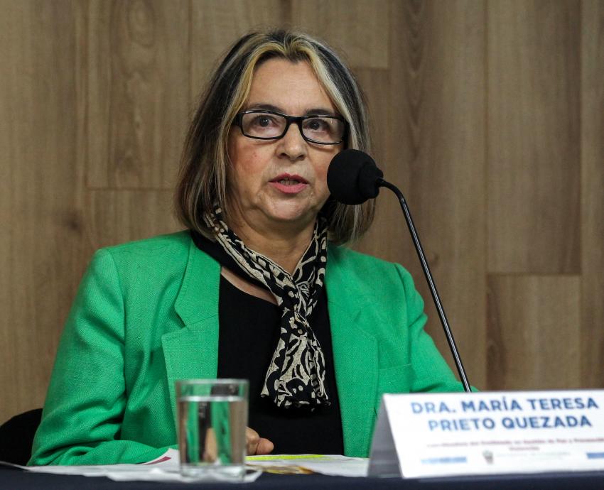 Especialistas de la UdeG llaman a generar estrategias para prevenir violencia en México 
