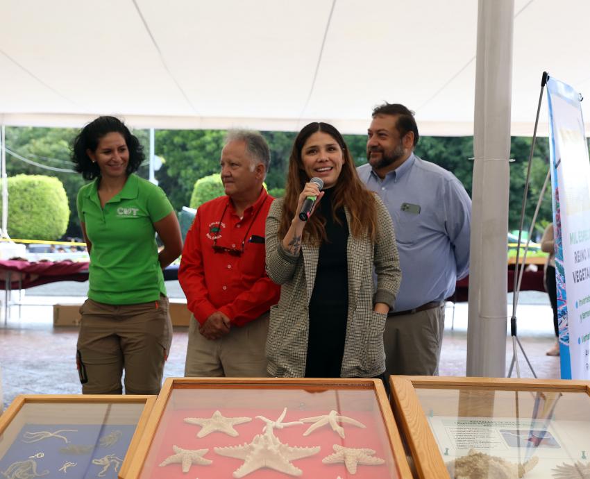 Muestran en explanada de Rectoría General Colección Biológica Itinerante del CUCSur 
