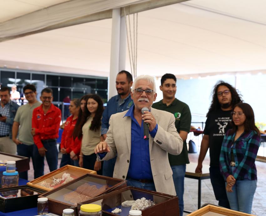 Muestran en explanada de Rectoría General Colección Biológica Itinerante del CUCSur 