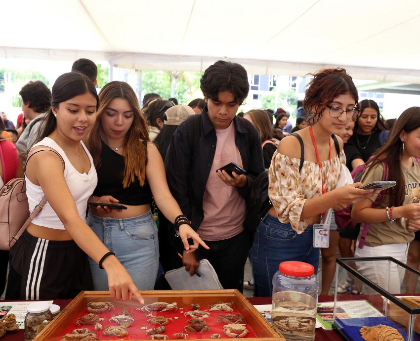 Muestran en explanada de Rectoría General Colección Biológica Itinerante del CUCSur 