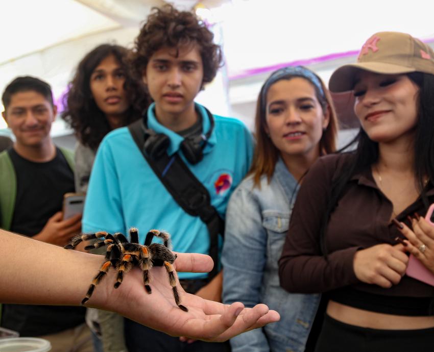 Muestran en explanada de Rectoría General Colección Biológica Itinerante del CUCSur 