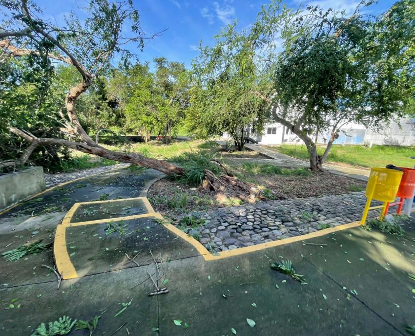 Sin afectaciones graves, planteles de la UdeG tras paso del huracán “Lidia”