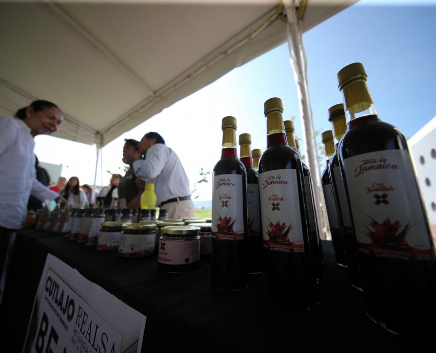 Celebra CUTlajomulco Día Mundial de la Alimentación con Feria Agroecológica