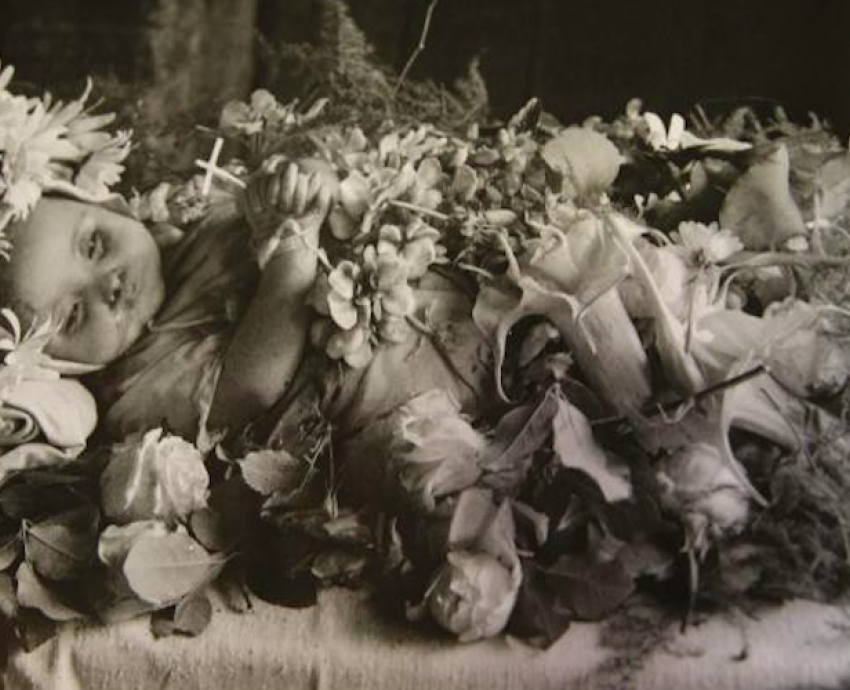Egresado del CUAAD exhibe fotografías de “angelitos” de Los Altos de Jalisco 