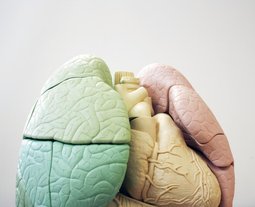 HCG lanza campaña de salud pulmonar ¡Respírale! 2023