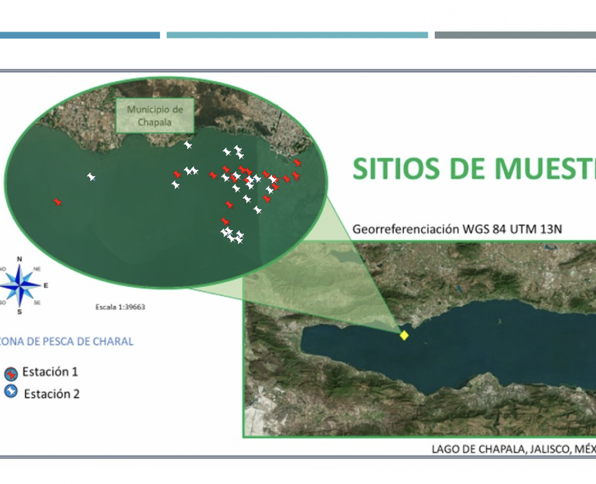 Disminuye la cantidad de agua del Lago de Chapala y aumenta su temperatura