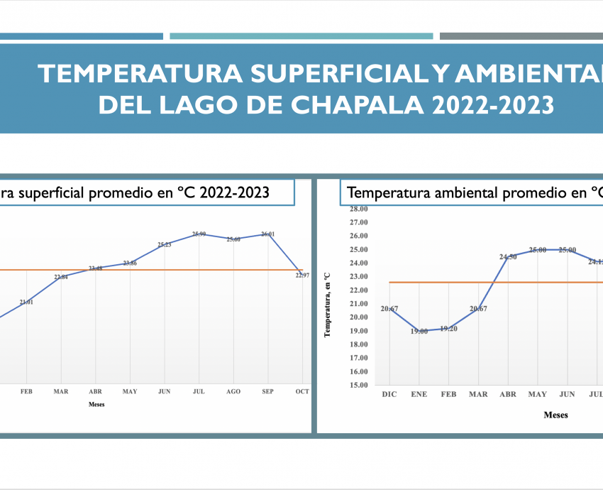 Disminuye la cantidad de agua del Lago de Chapala y aumenta su temperatura