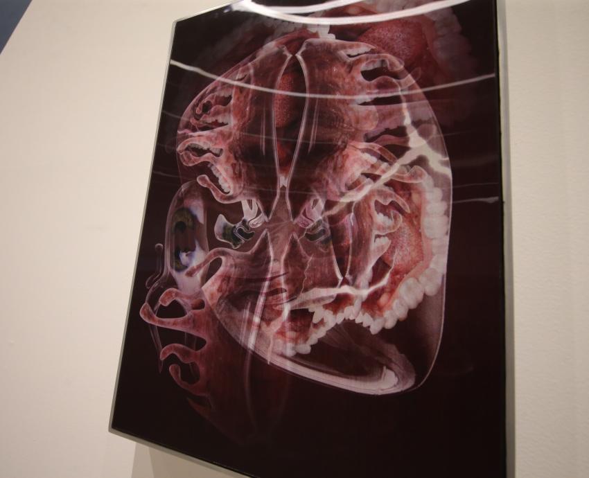 Becarios del Legado Grodman del CUAAD presentan obra en MUSA