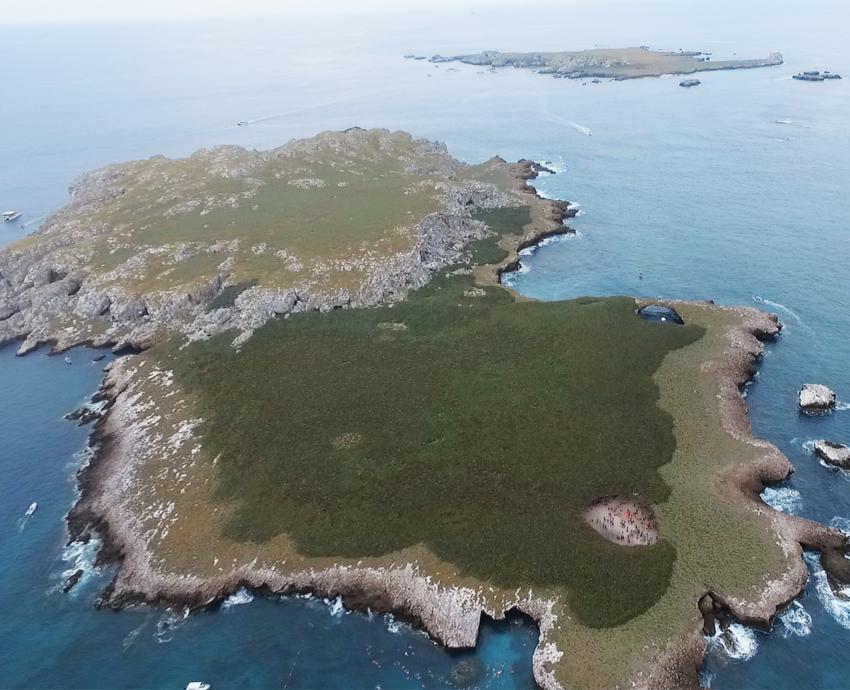 “El Niño” y huracán “Roslyn” causaron daños en 95 por ciento del coral de Islas Marietas 