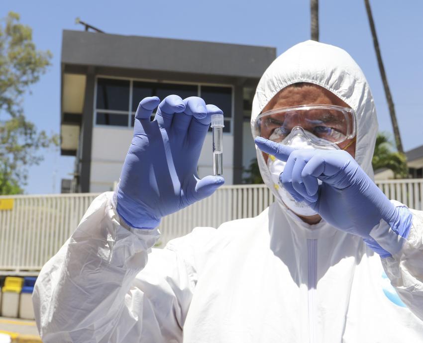 Coronavirus causantes del resfriado común pueden generar inmunidad contra COVID-19