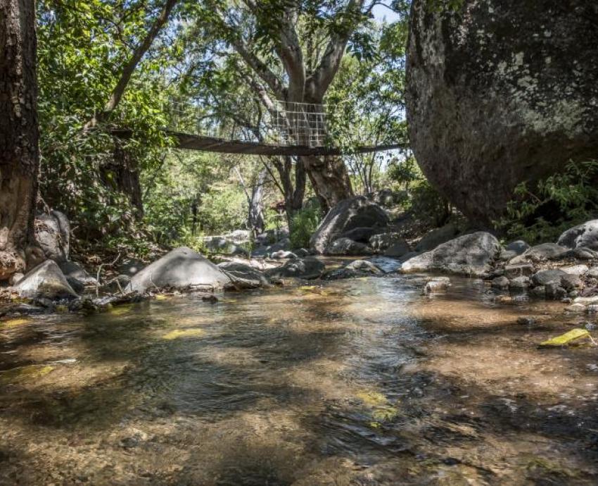 Reconoce Conahcyt al CUCSur por investigaciones en favor del medio ambiente