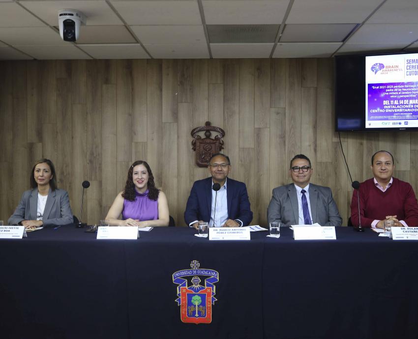 Alimentos hipercalóricos inciden en el desarrollo de enfermedades del cerebro