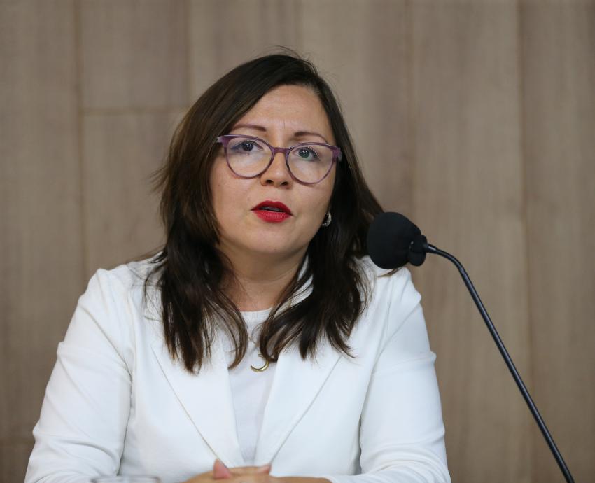 Exhortan a fortalecer mecanismos para garantizar participación de grupos relegados en procesos electorales