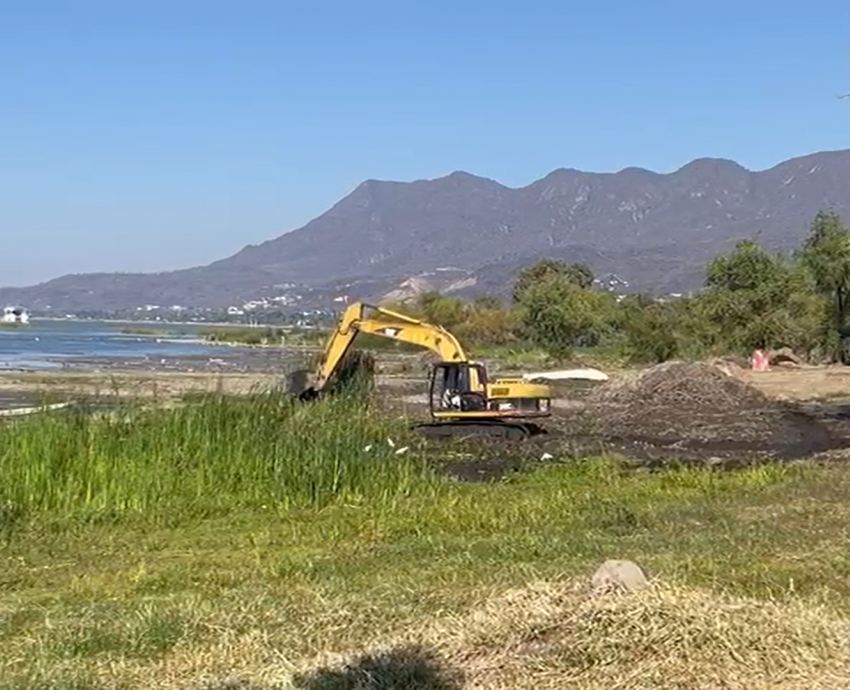 Investigadores de la UdeG denuncian depredación de humedales en Lago de Chapala