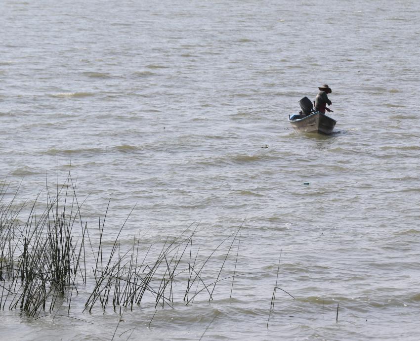 Investigadores de la UdeG denuncian depredación de humedales en Lago de Chapala