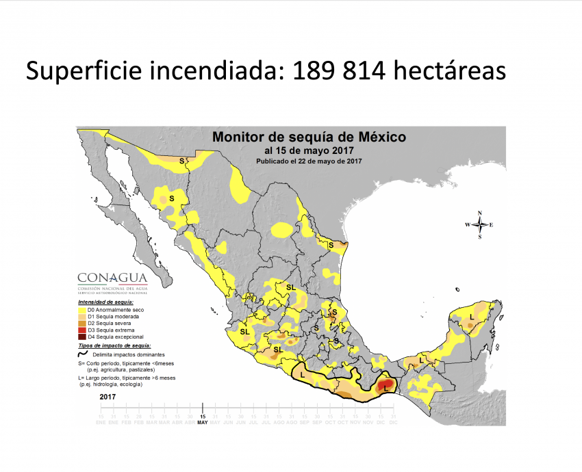 Pronostican temporada crítica de incendios para Jalisco