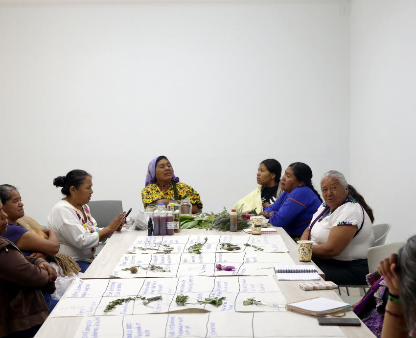 Buscan comunidades indígenas el reconocimiento de la medicina tradicional