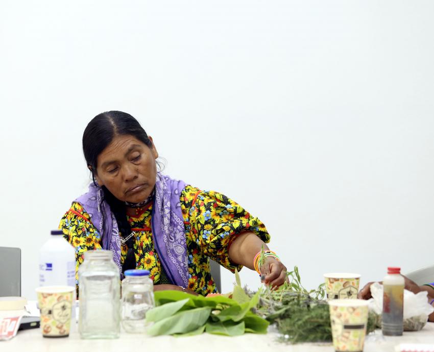 Buscan comunidades indígenas el reconocimiento de la medicina tradicional