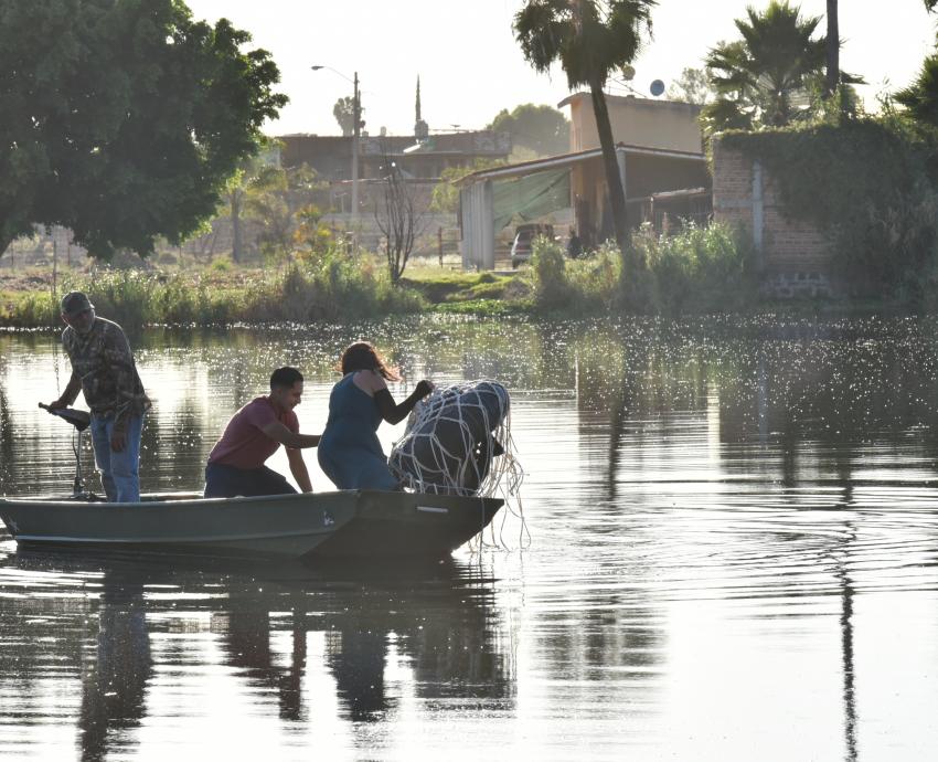 “Medusa”, arte que confronta la contaminación del Río Santiago
