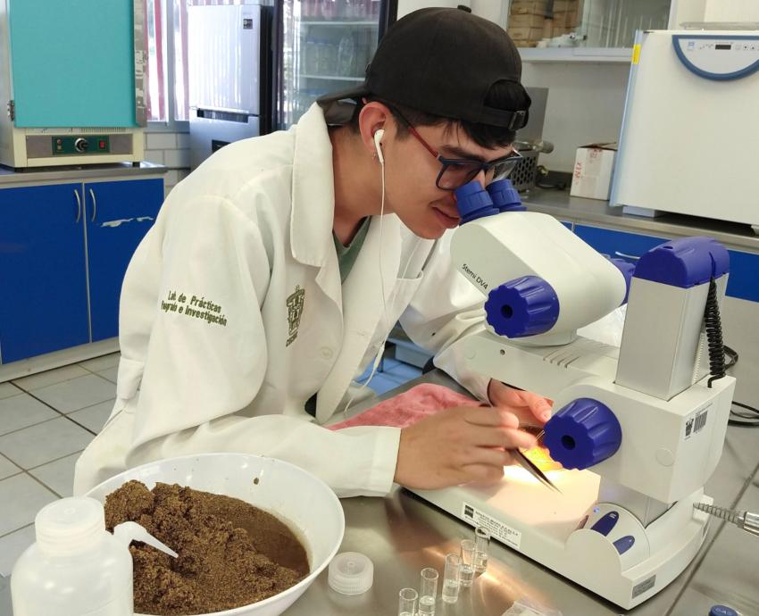 Estudian insectos para el rescate de ríos de la Costa Sur de Jalisco