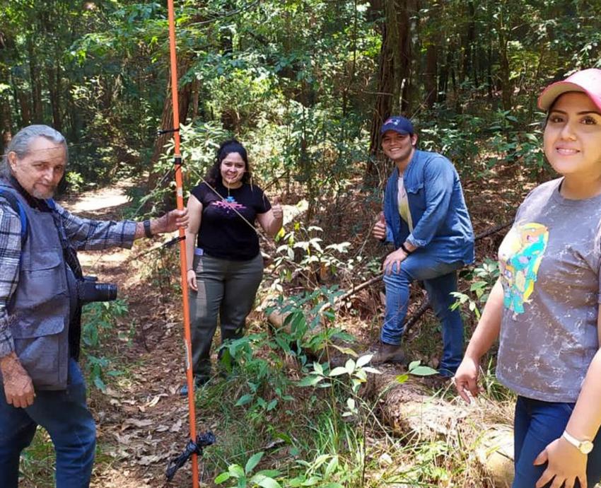 Encuentran agroquímicos en roedores de los valles de Autlán